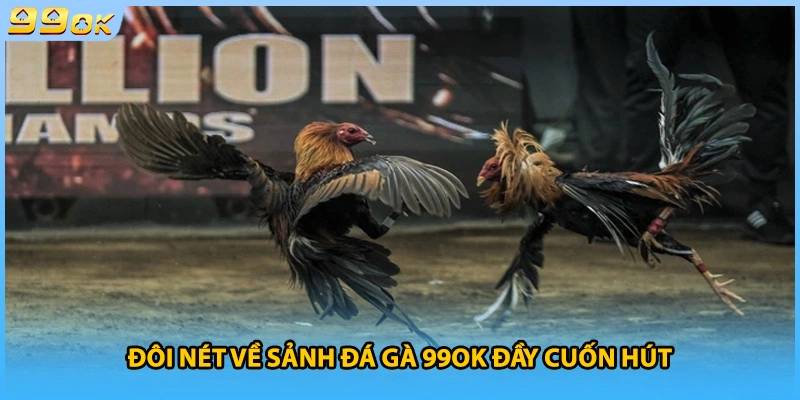 Đôi nét về sảnh đá gà 99OK đầy cuốn hút